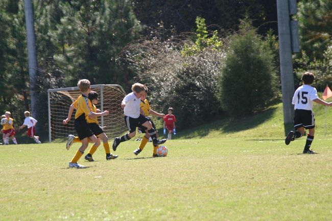 Click to see next picture