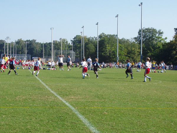 Click to see next picture