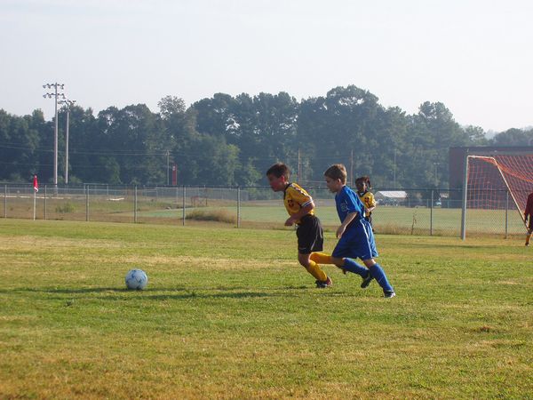 Click to see next picture