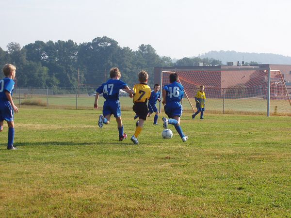 Click to see next picture