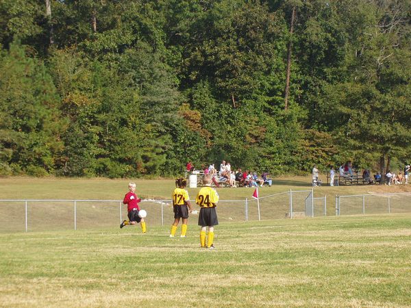 Click to see thumbs page