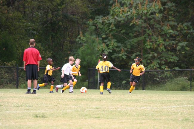 Click to see next picture