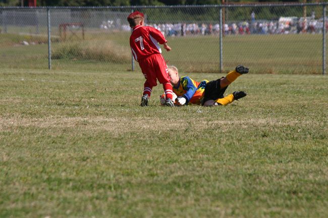 Click to see next picture