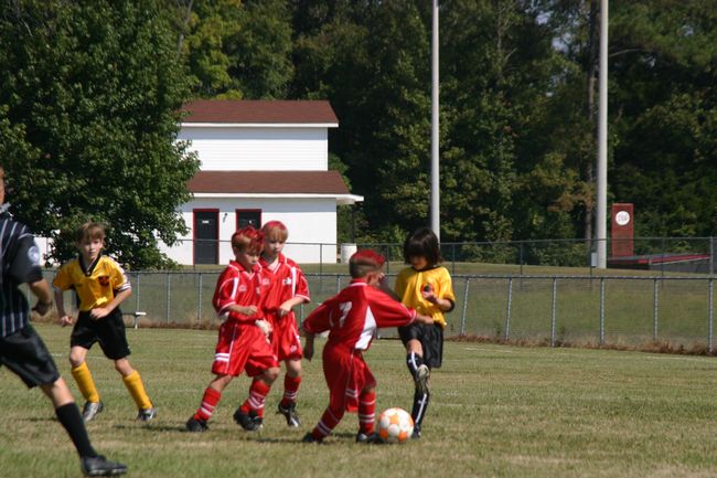 Click to see next picture