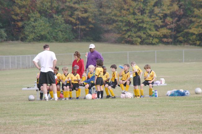 Click to see next picture