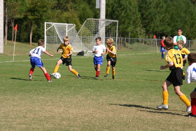 Click to see next picture