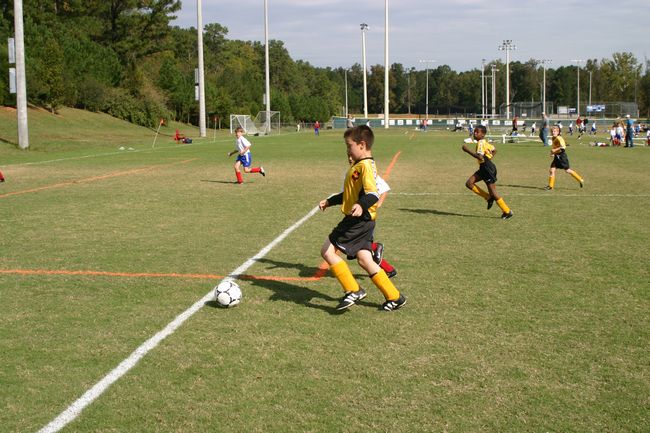 Click to see next picture