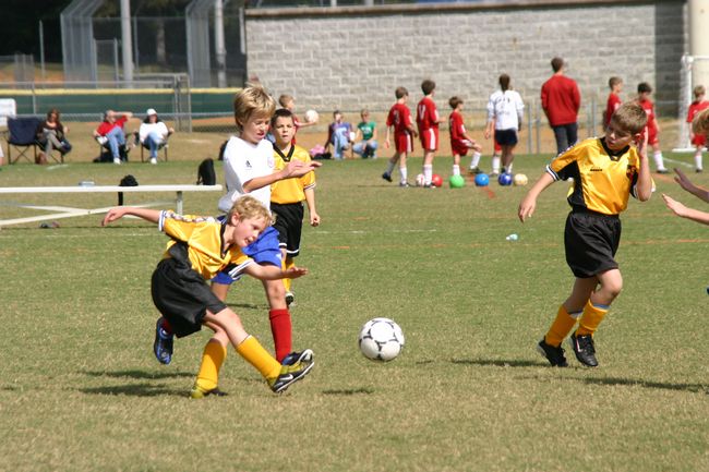 Click to see next picture