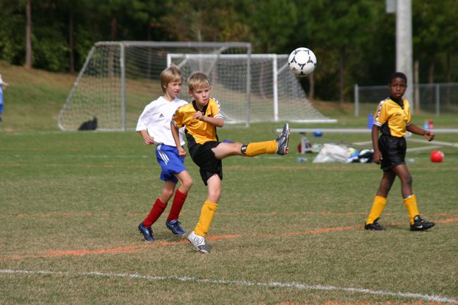 Click to see next picture