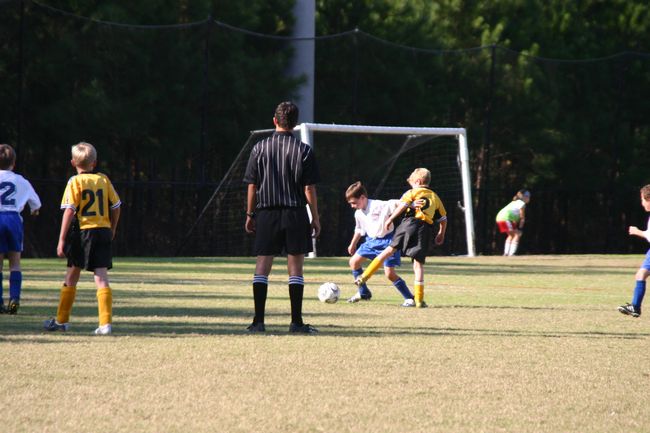 Click to see next picture