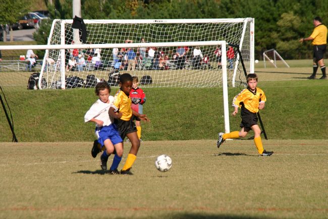 Click to see next picture