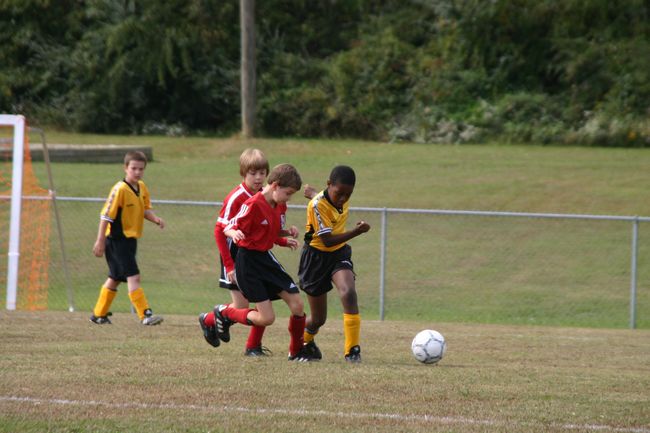 Click to see next picture