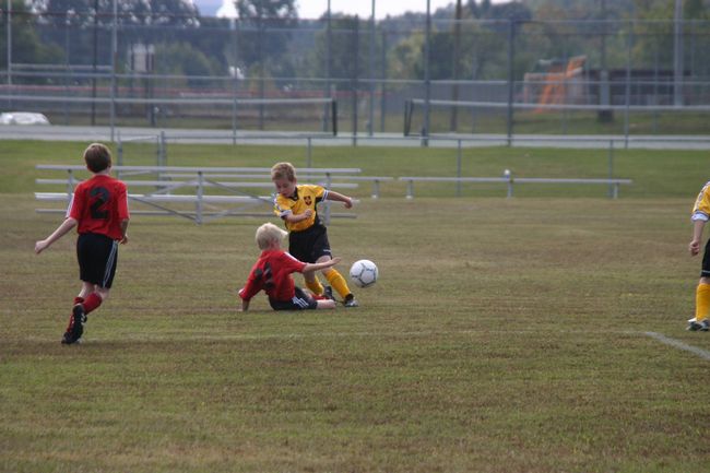 Click to see next picture