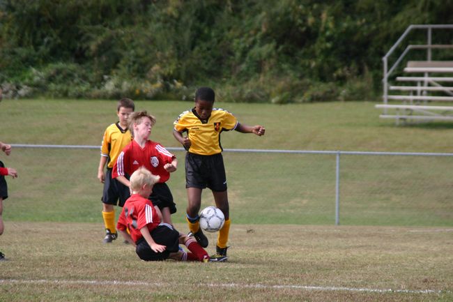 Click to see next picture