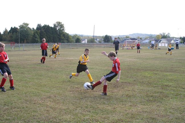 Click to see next picture