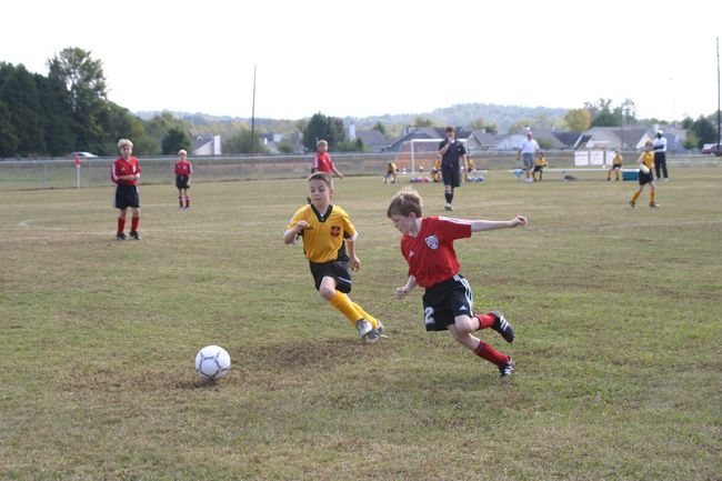 Click to see next picture