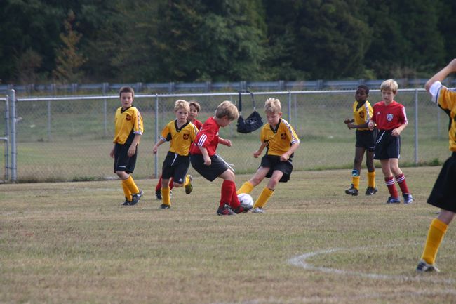 Click to see next picture