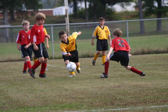 Click to see next picture