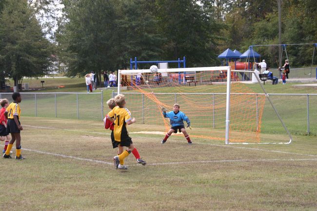 Click to see next picture