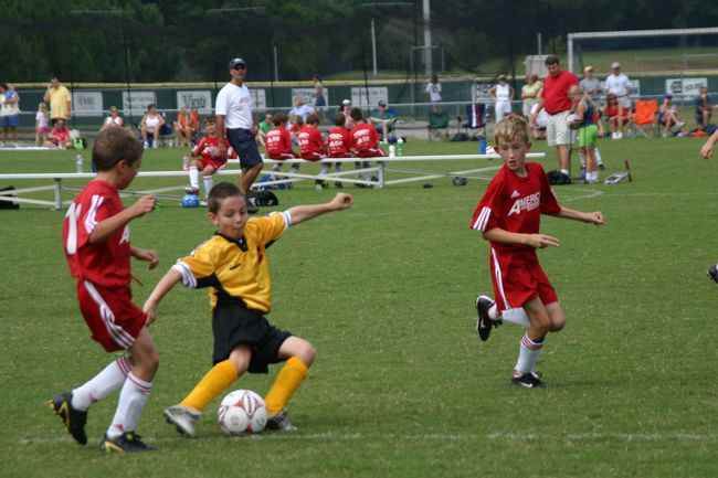 Click to see next picture