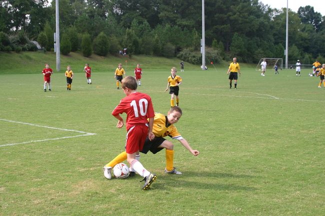 Click to see next picture