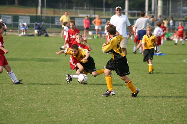 Click to see next picture