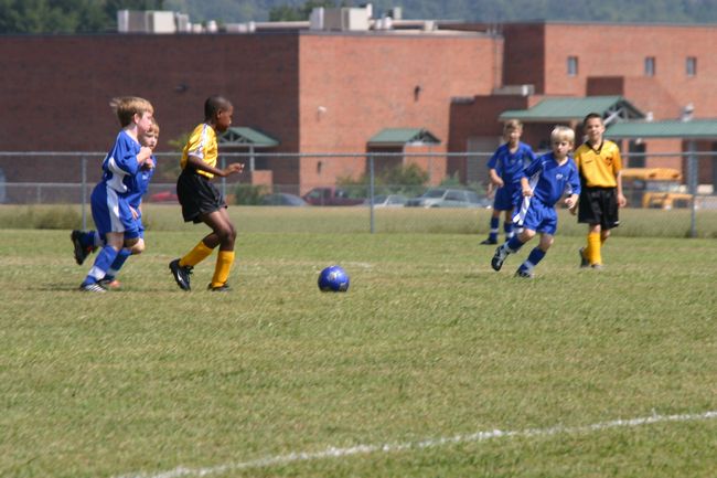 Click to see next picture