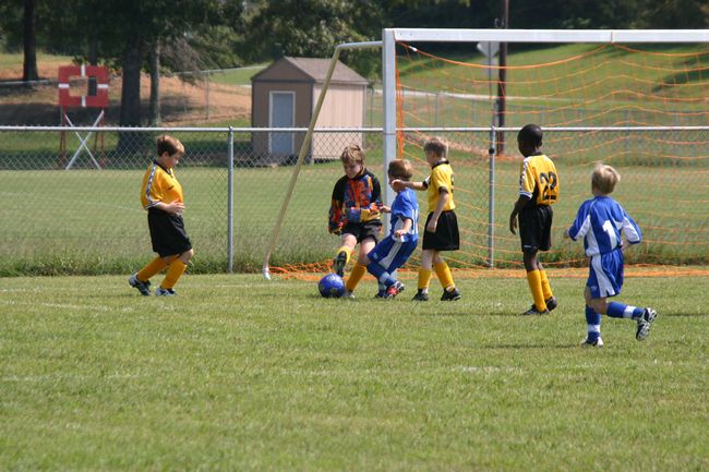 Click to see next picture