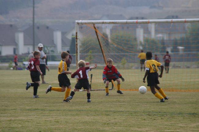 Click to see next picture