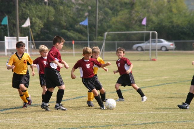 Click to see next picture