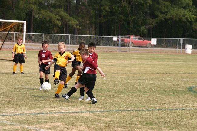 Click to see next picture