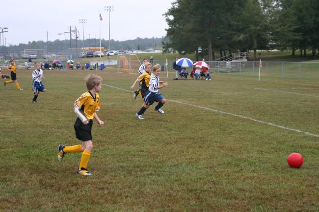 Click to see next picture