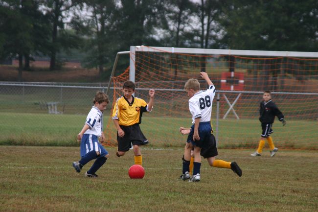 Click to see next picture