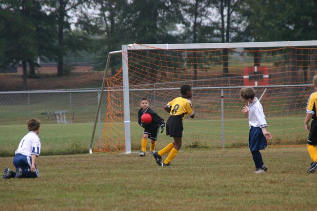 Click to see next picture