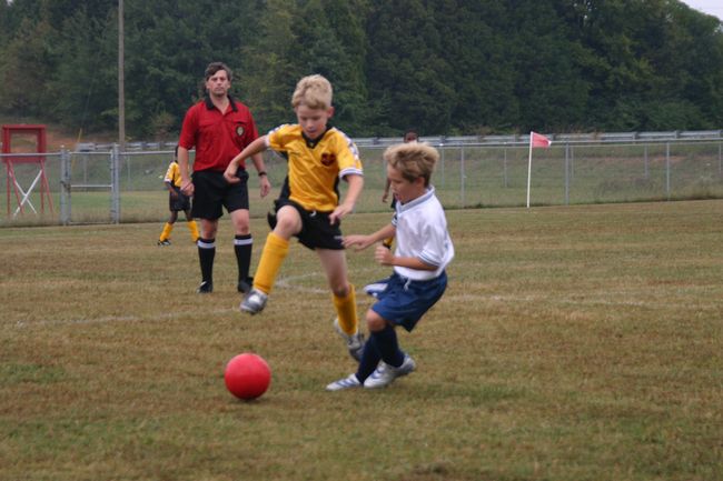 Click to see next picture