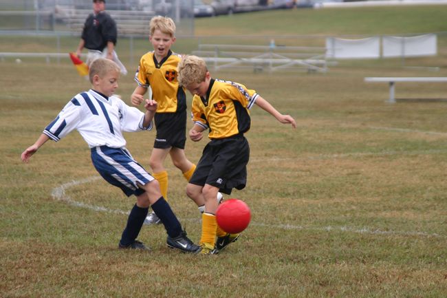 Click to see next picture