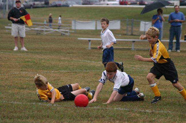 Click to see next picture