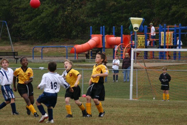 Click to see next picture