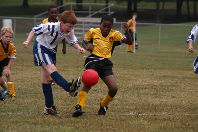 Click to see next picture