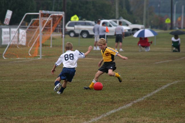 Click to see next picture