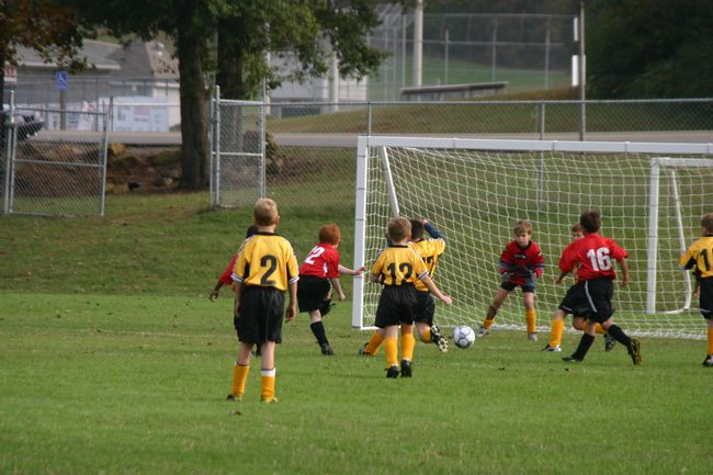 Click to see next picture