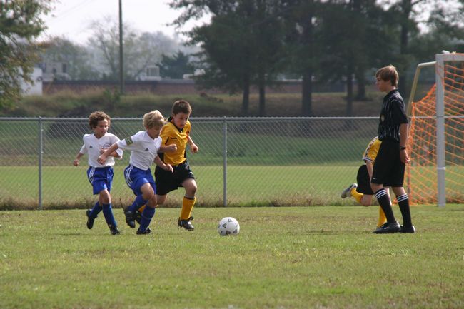 Click to see next picture