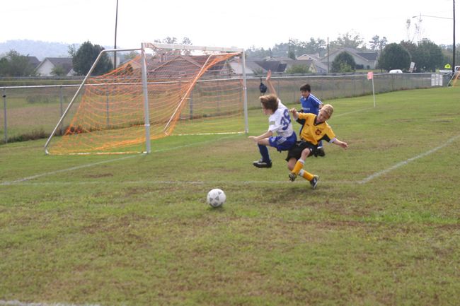 Click to see next picture