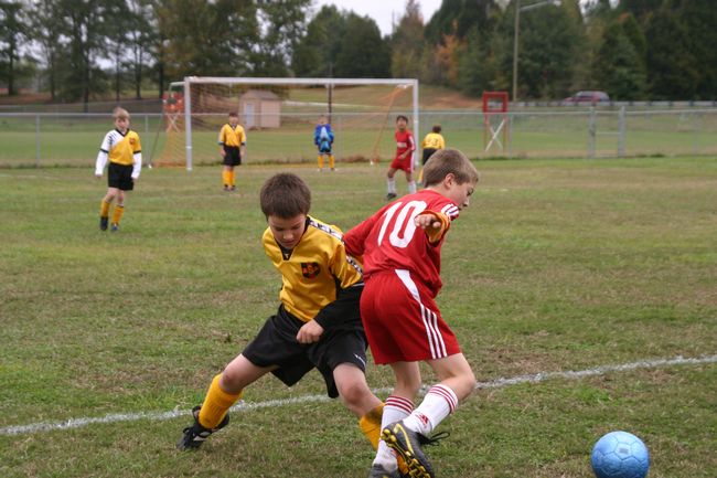 Click to see next picture