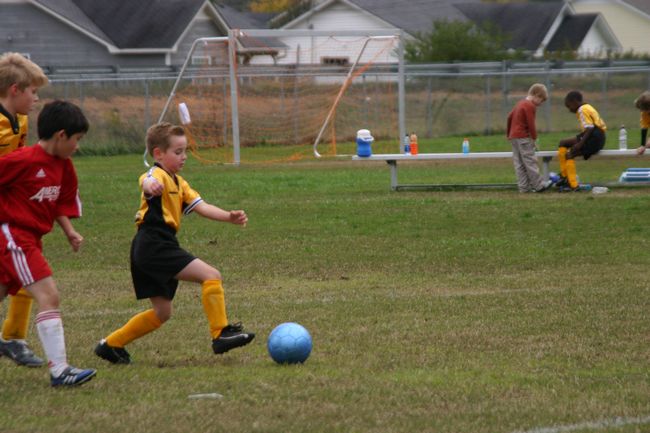 Click to see next picture