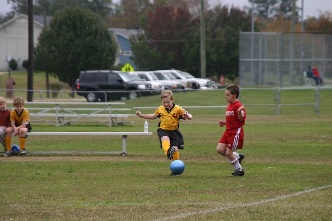 Click to see next picture