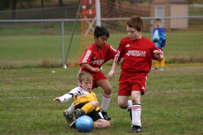 Click to see next picture