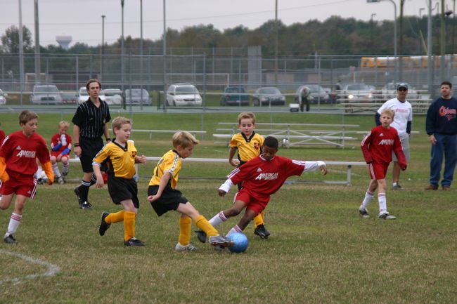 Click to see next picture