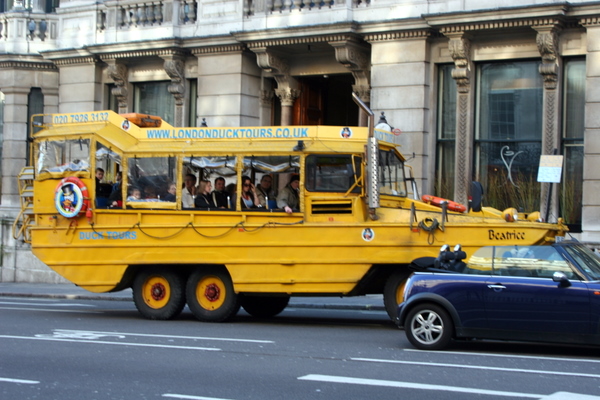 Click to see next picture