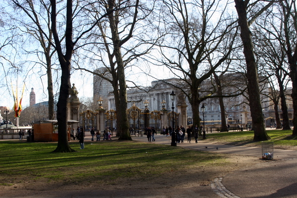 Click to see next picture